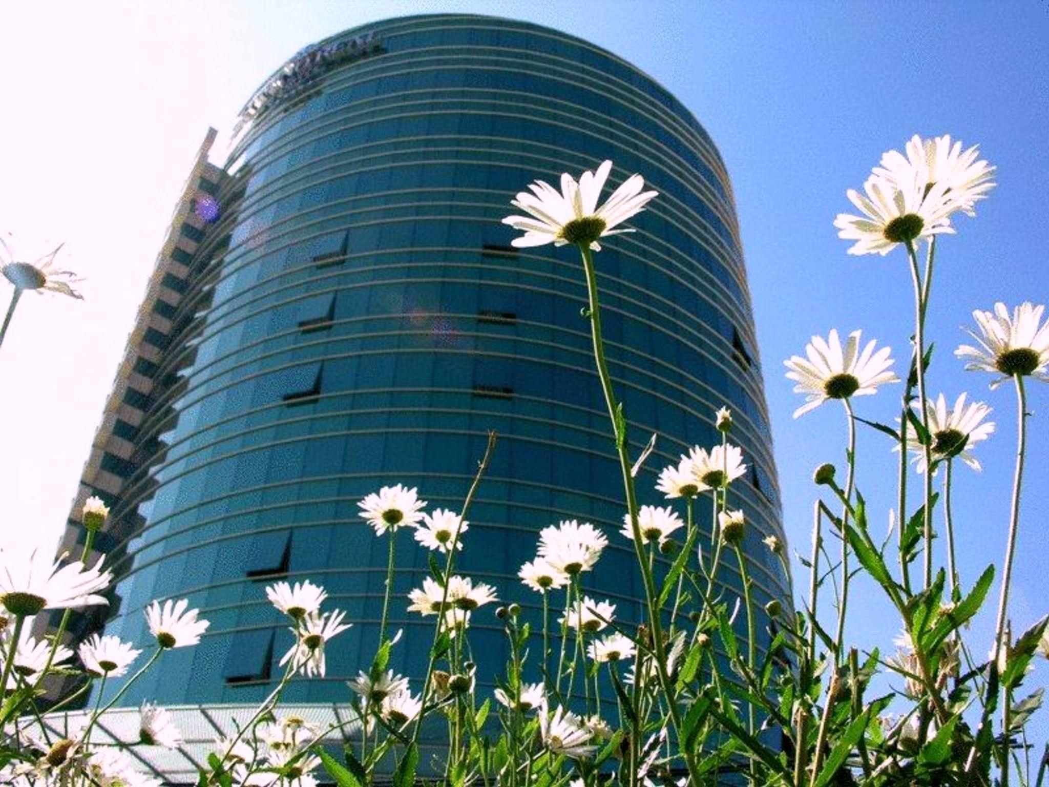 Hotel Camino Real La Paz